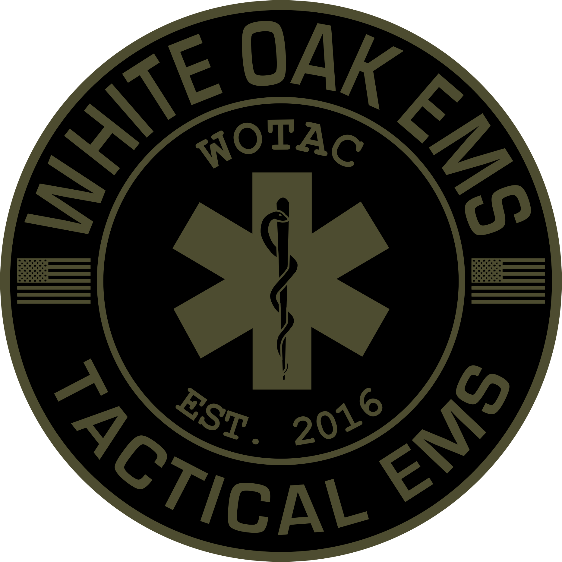 TACTICAL EMS / RESCUE TASK FORCE emblem